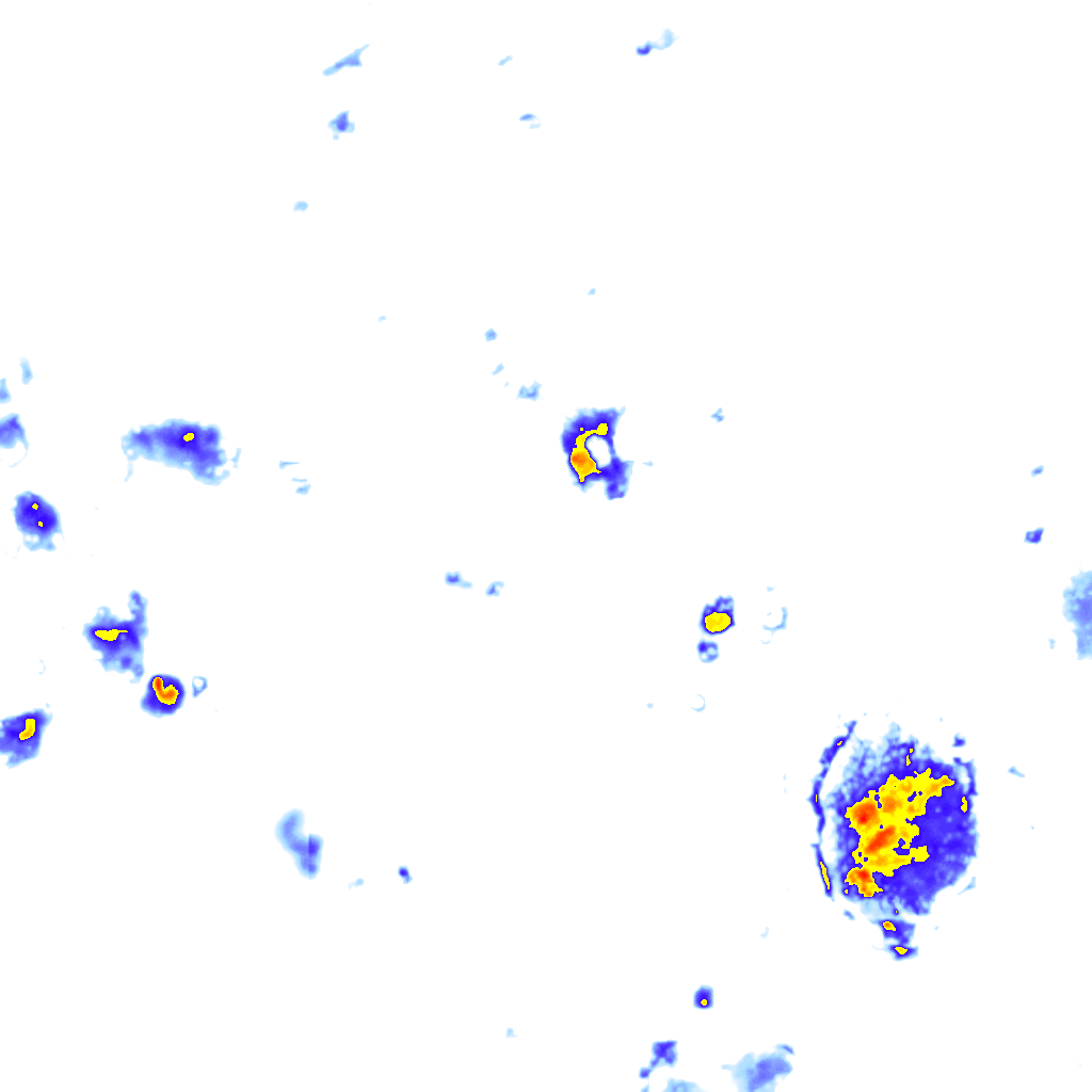 Image Layer