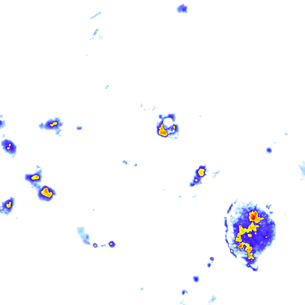 Image Layer