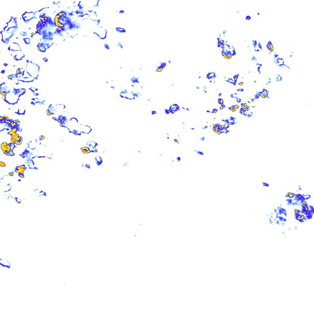 rainLayer
