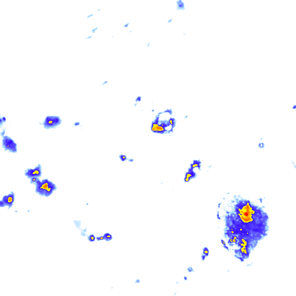 Image Layer