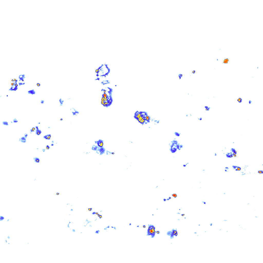 Image Layer