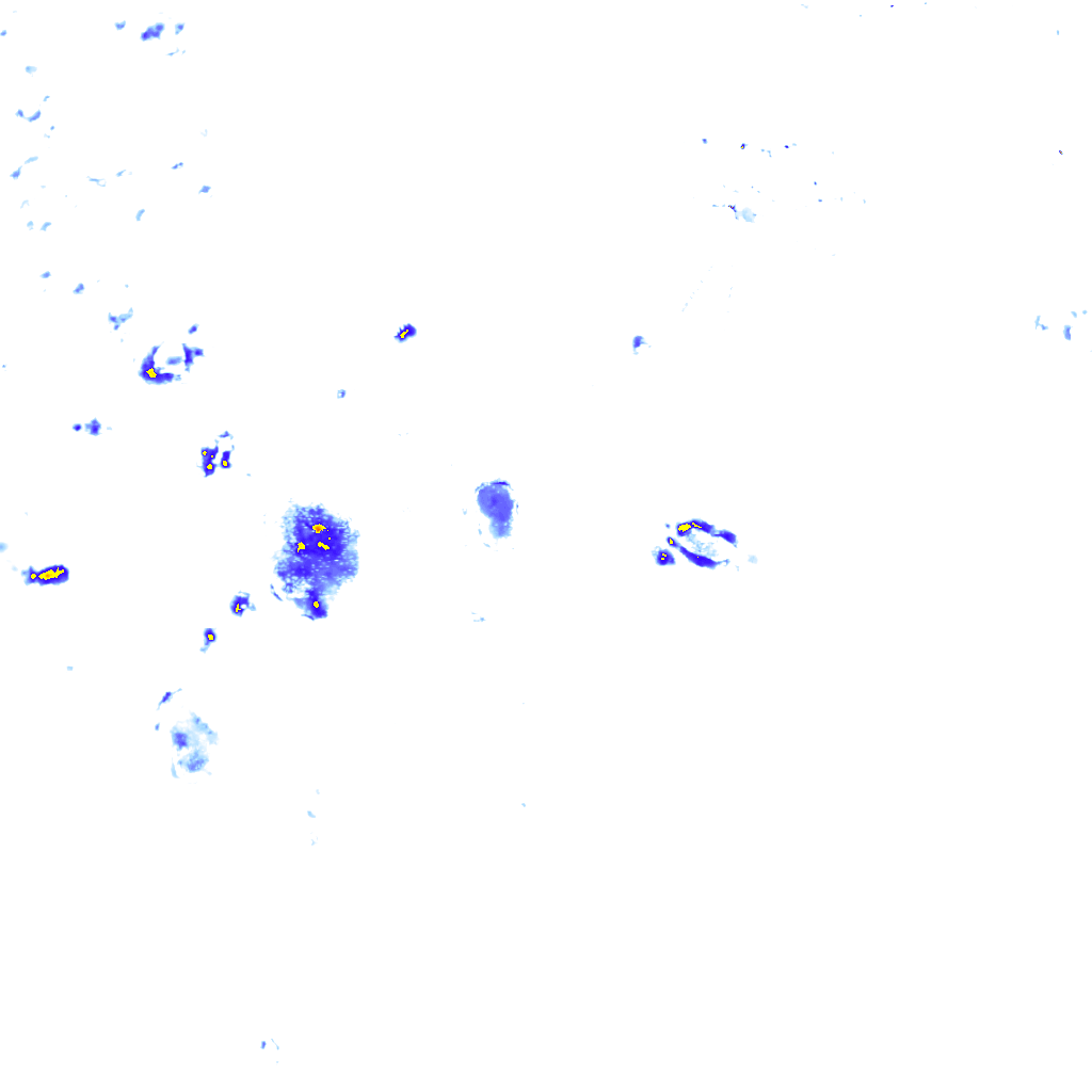 Image Layer