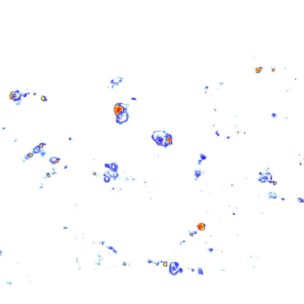 rainLayer