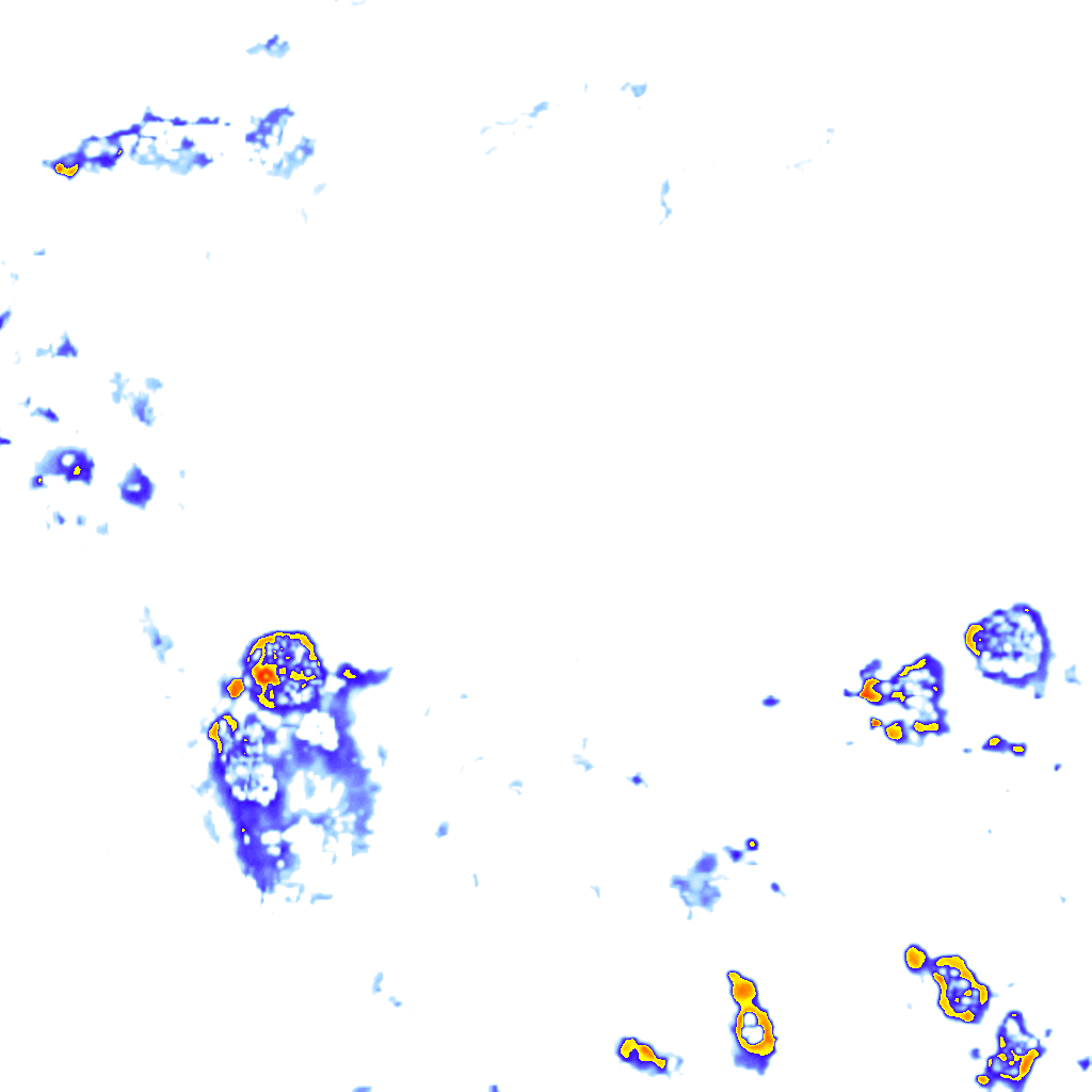 Image Layer