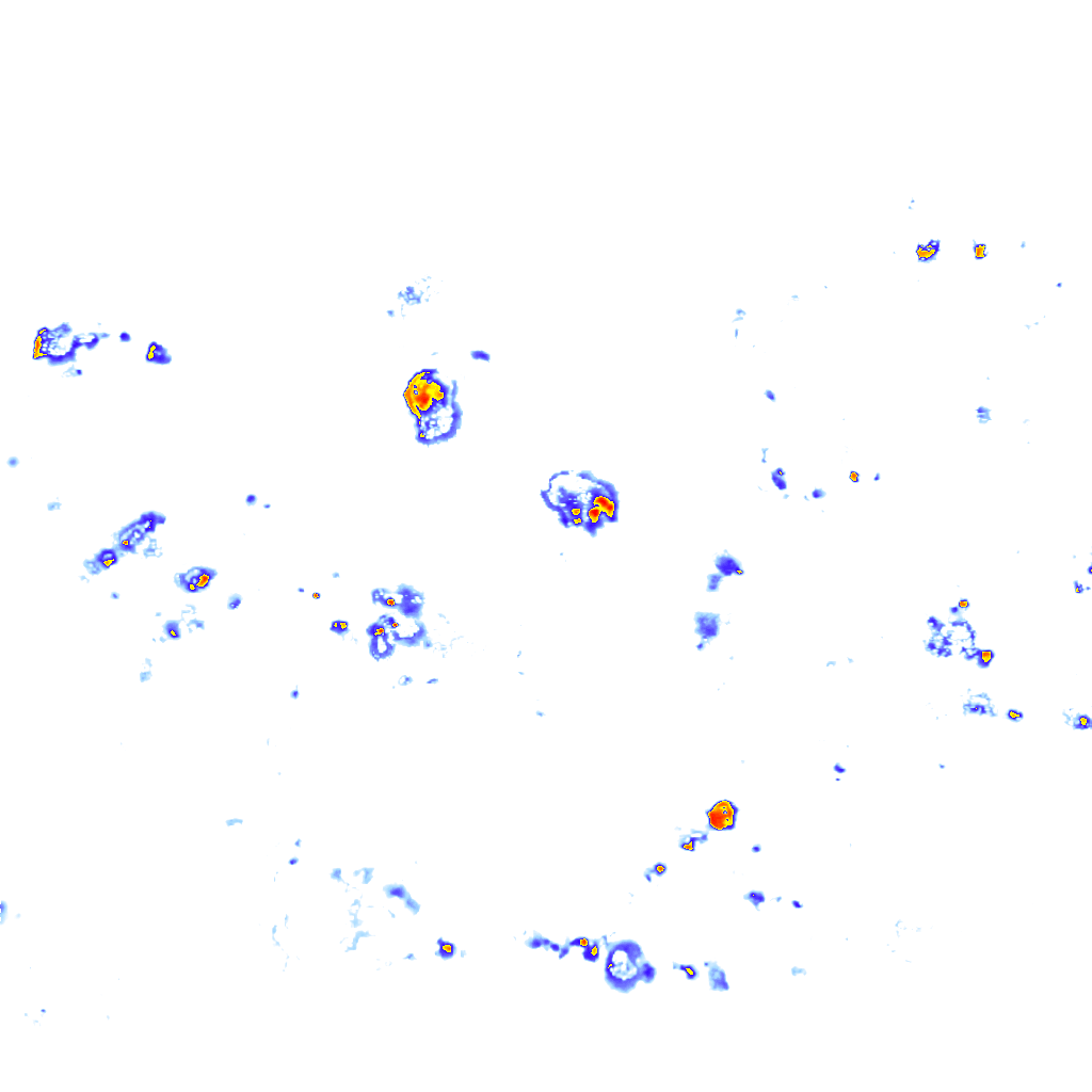 Image Layer