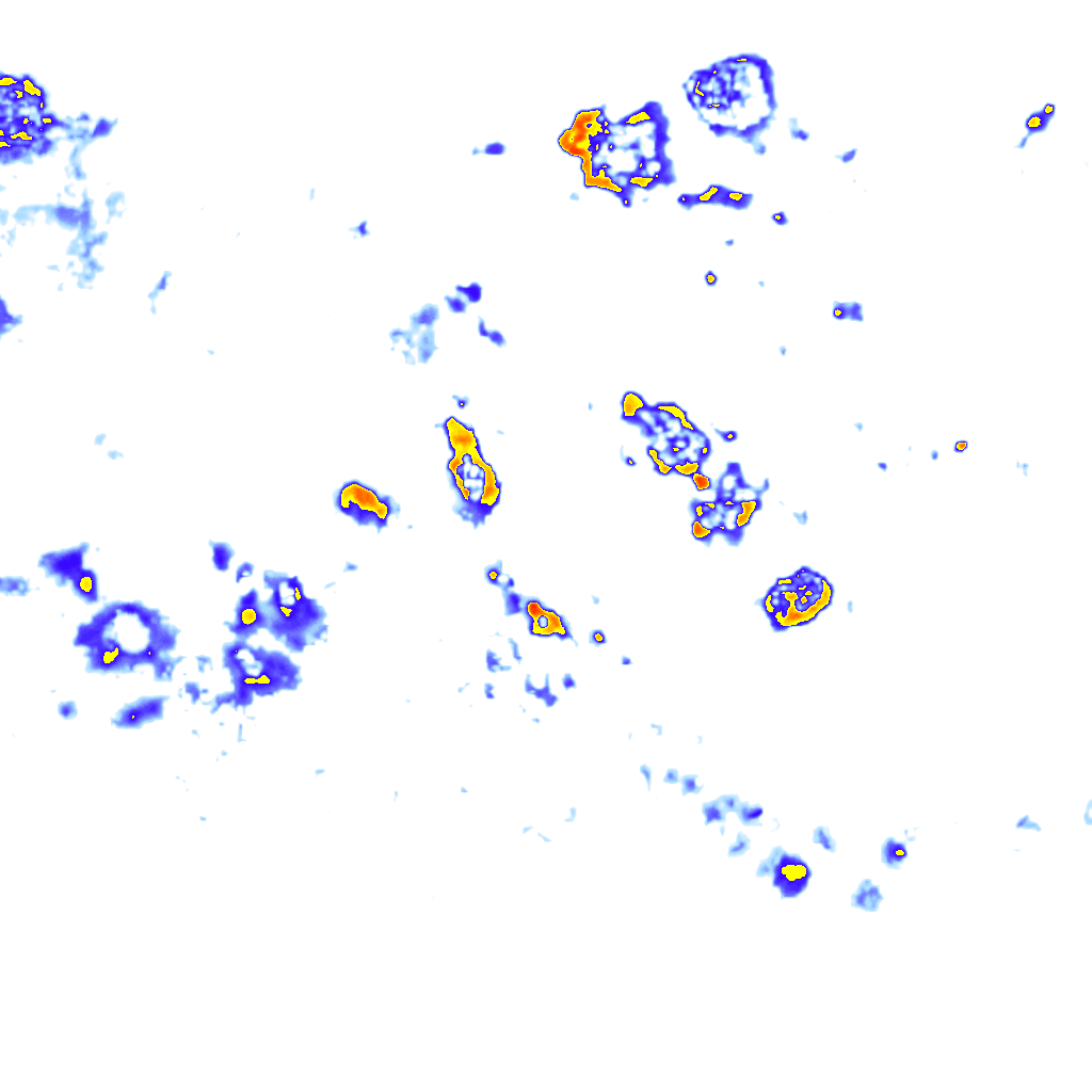Image Layer