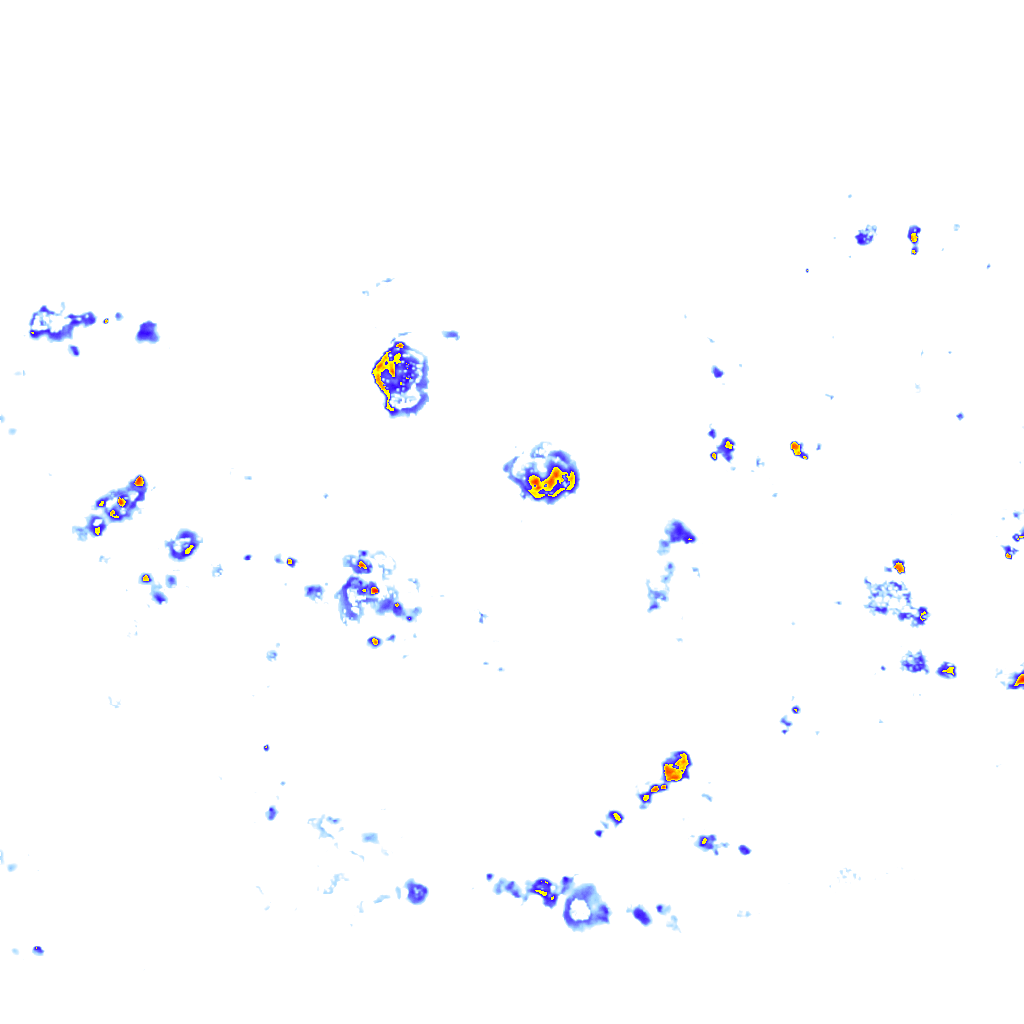 rainLayer