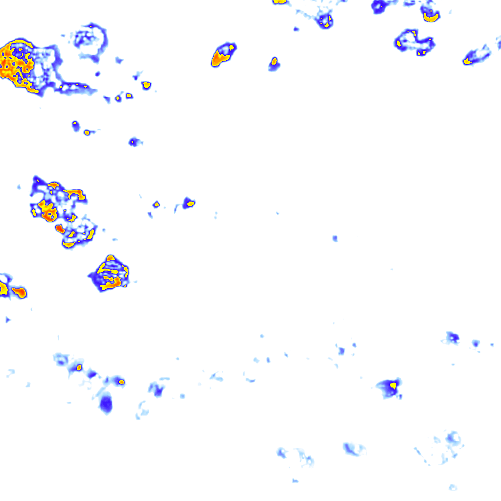 rainLayer
