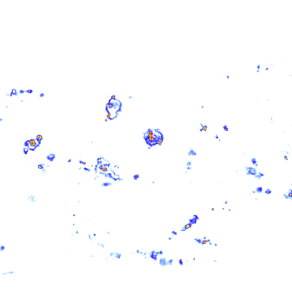 Image Layer