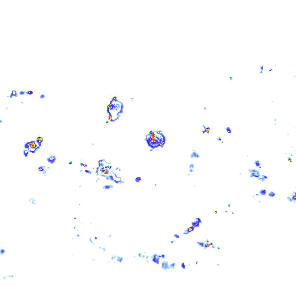 Image Layer