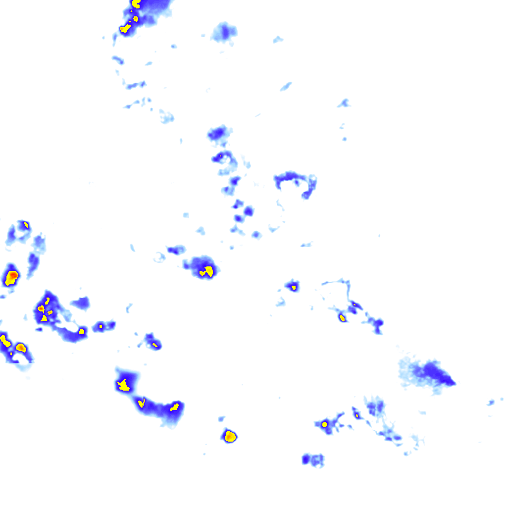 rainLayer