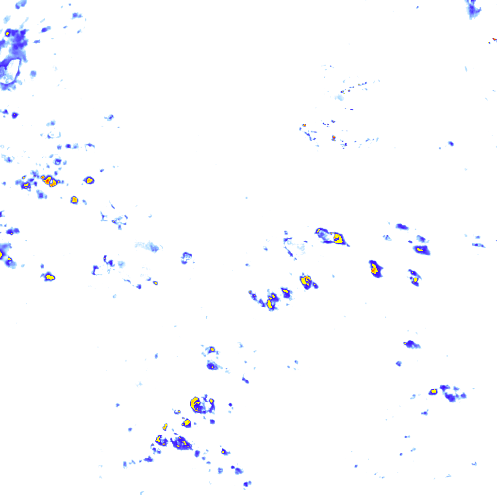 rainLayer