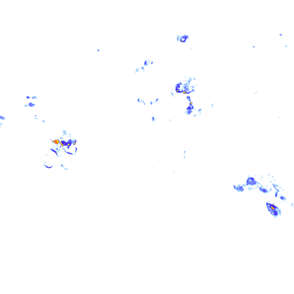 rainLayer