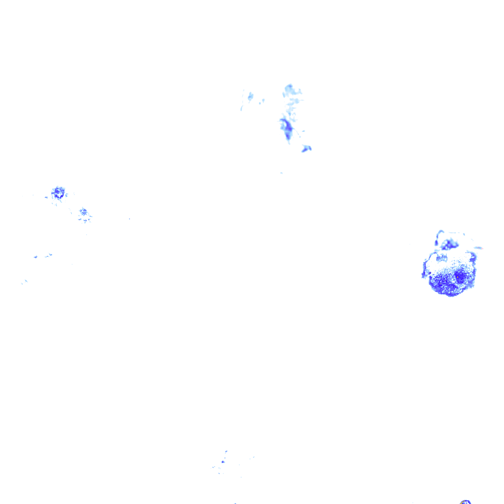 rainLayer