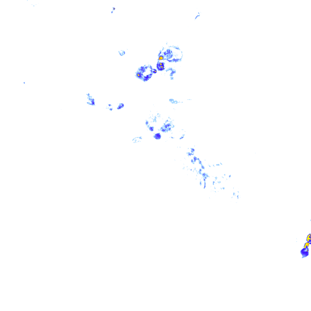 rainLayer
