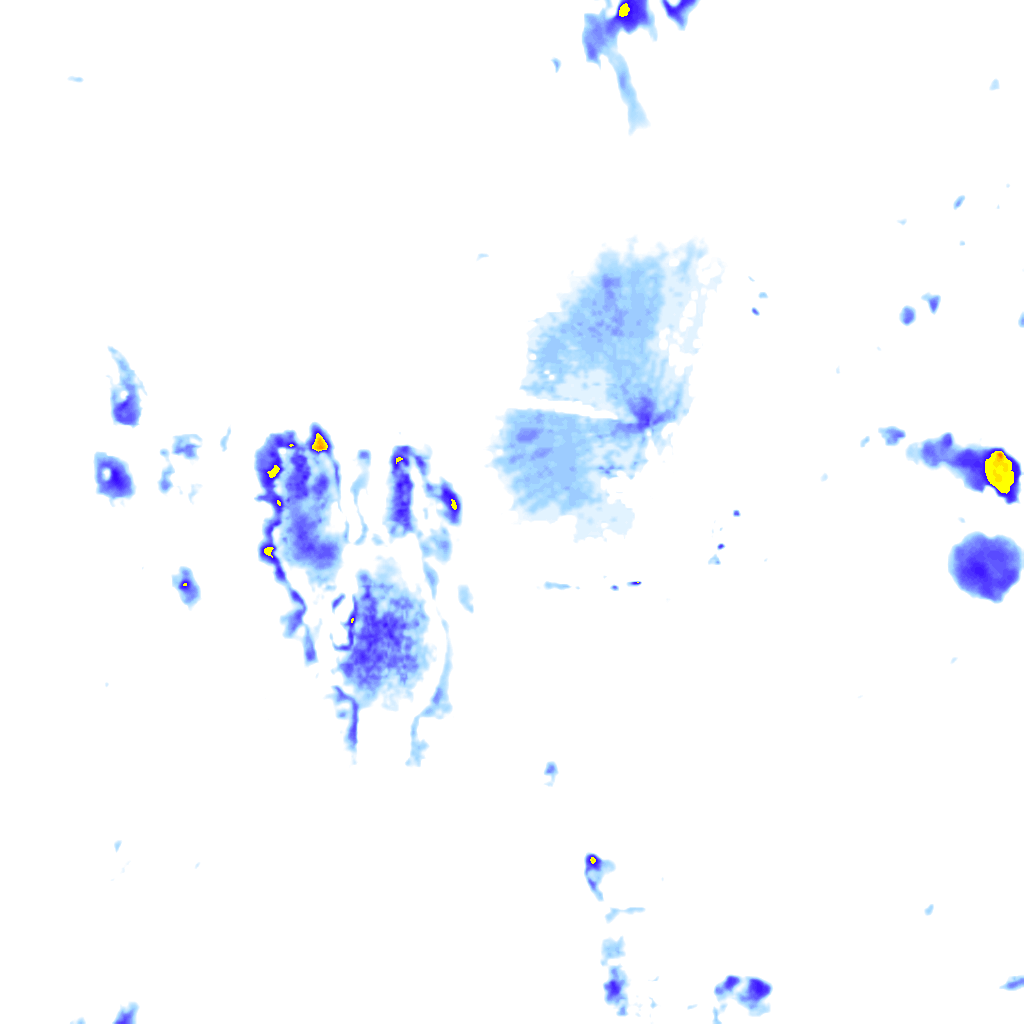 Image Layer