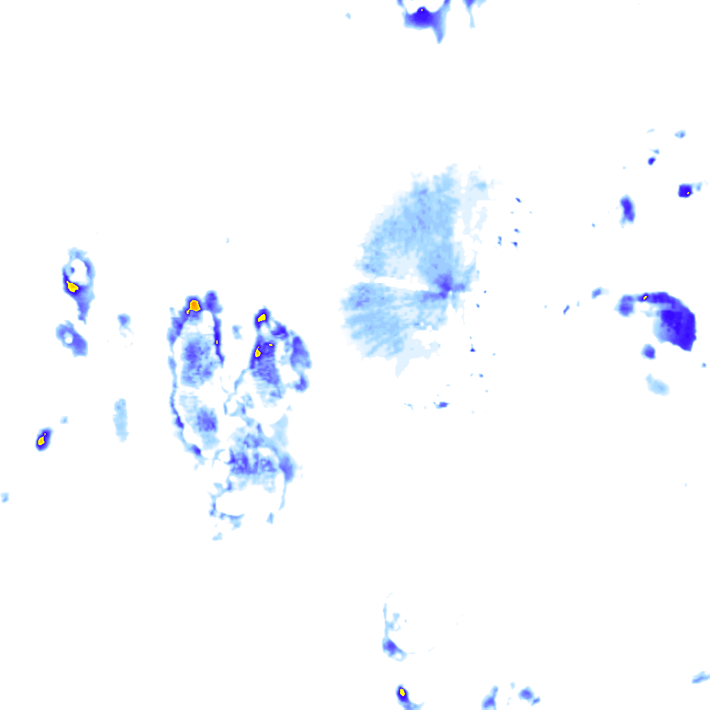 rainLayer