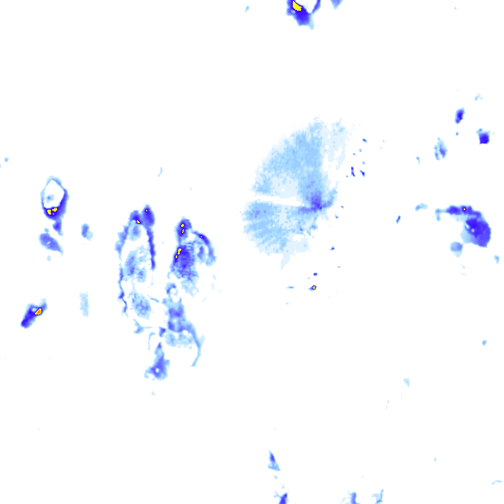 rainLayer