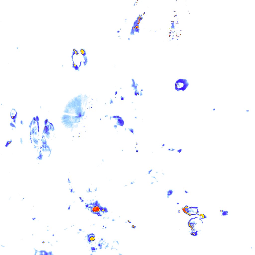 Image Layer