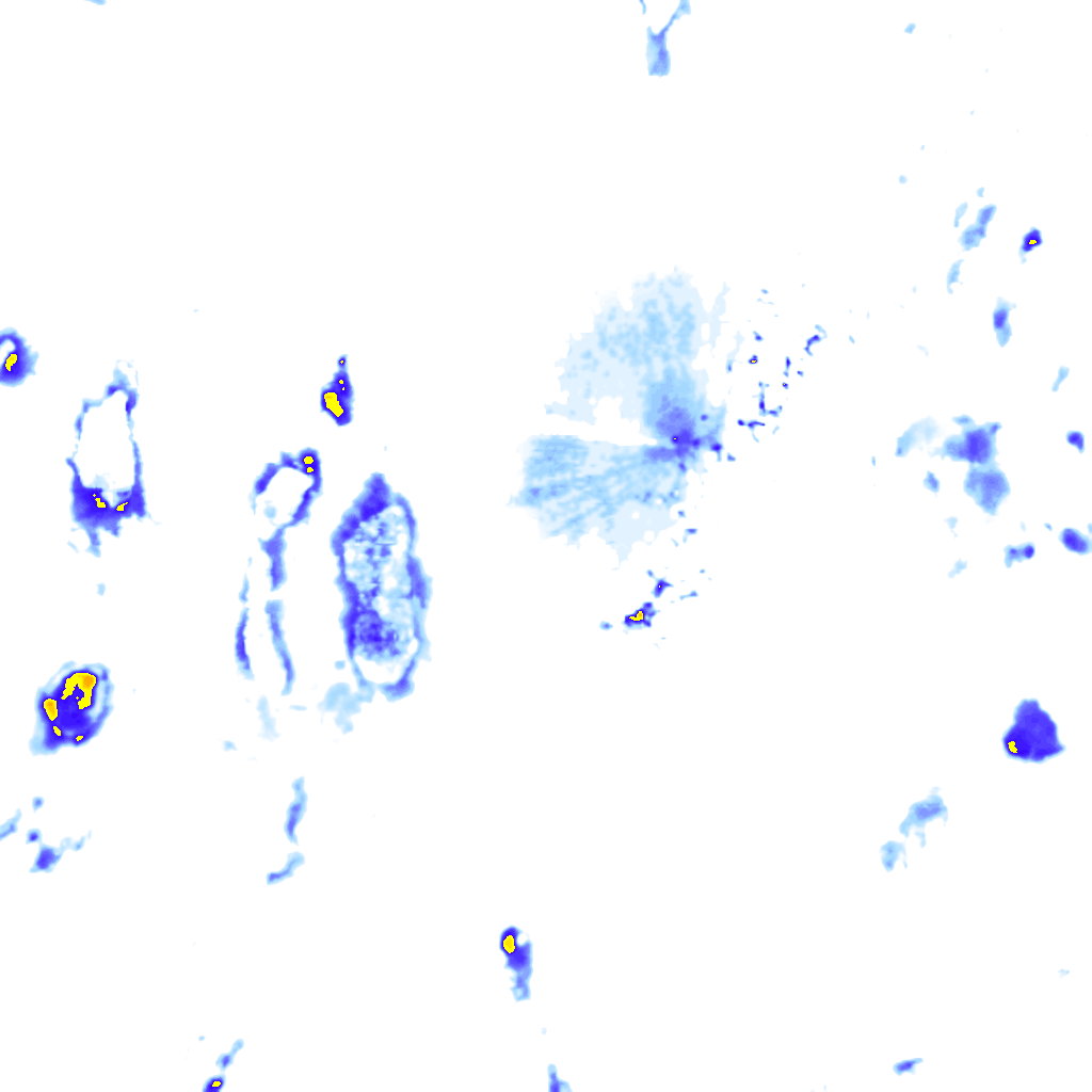 rainLayer