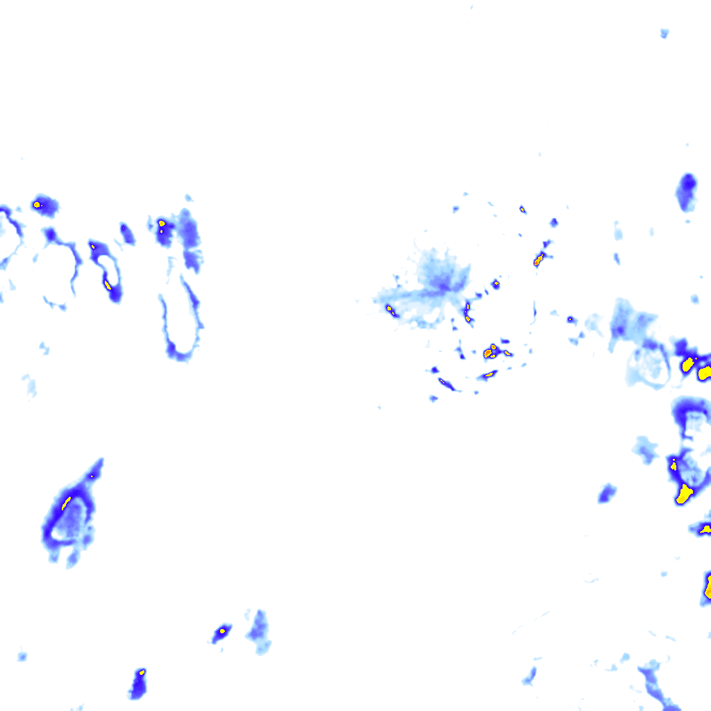 rainLayer