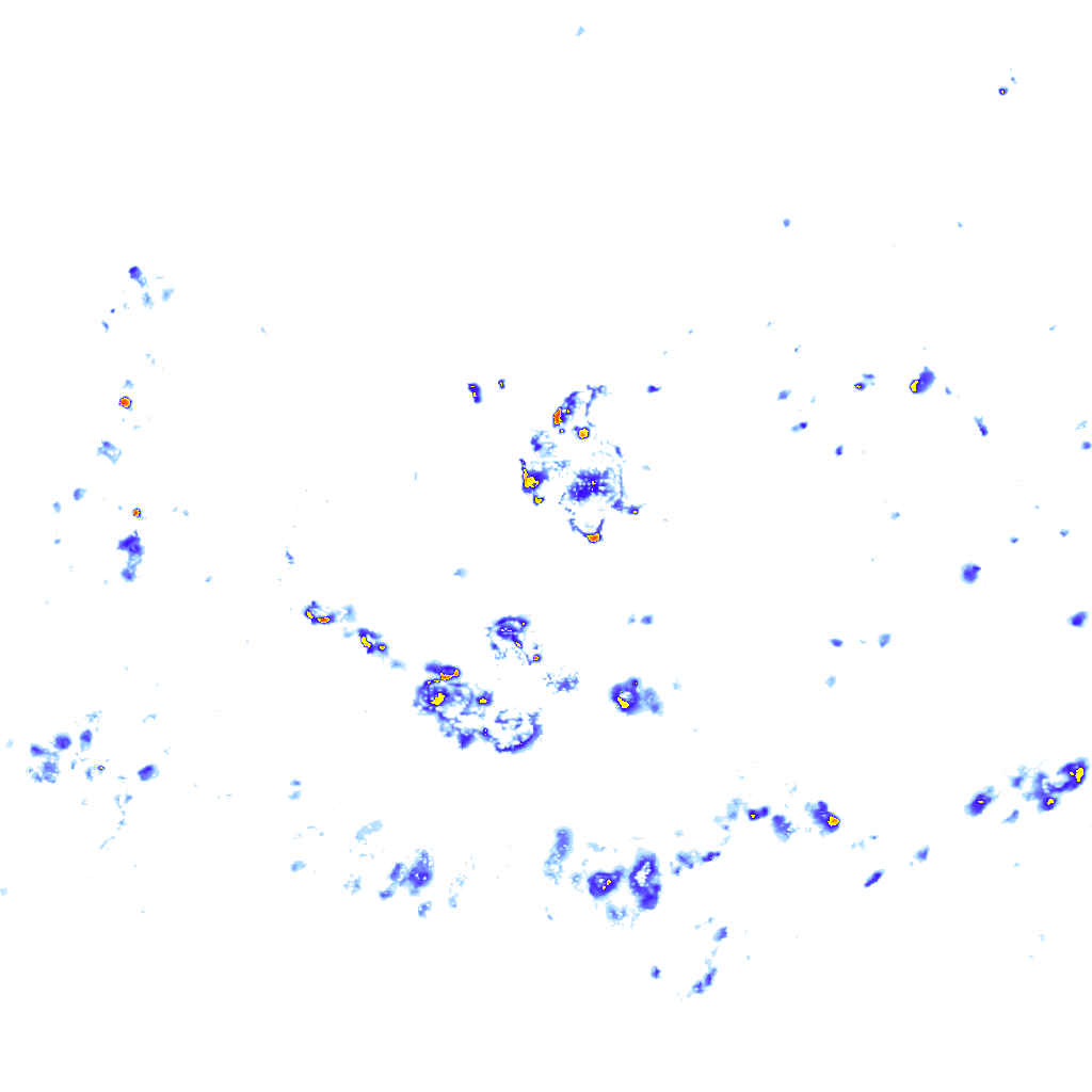 rainLayer