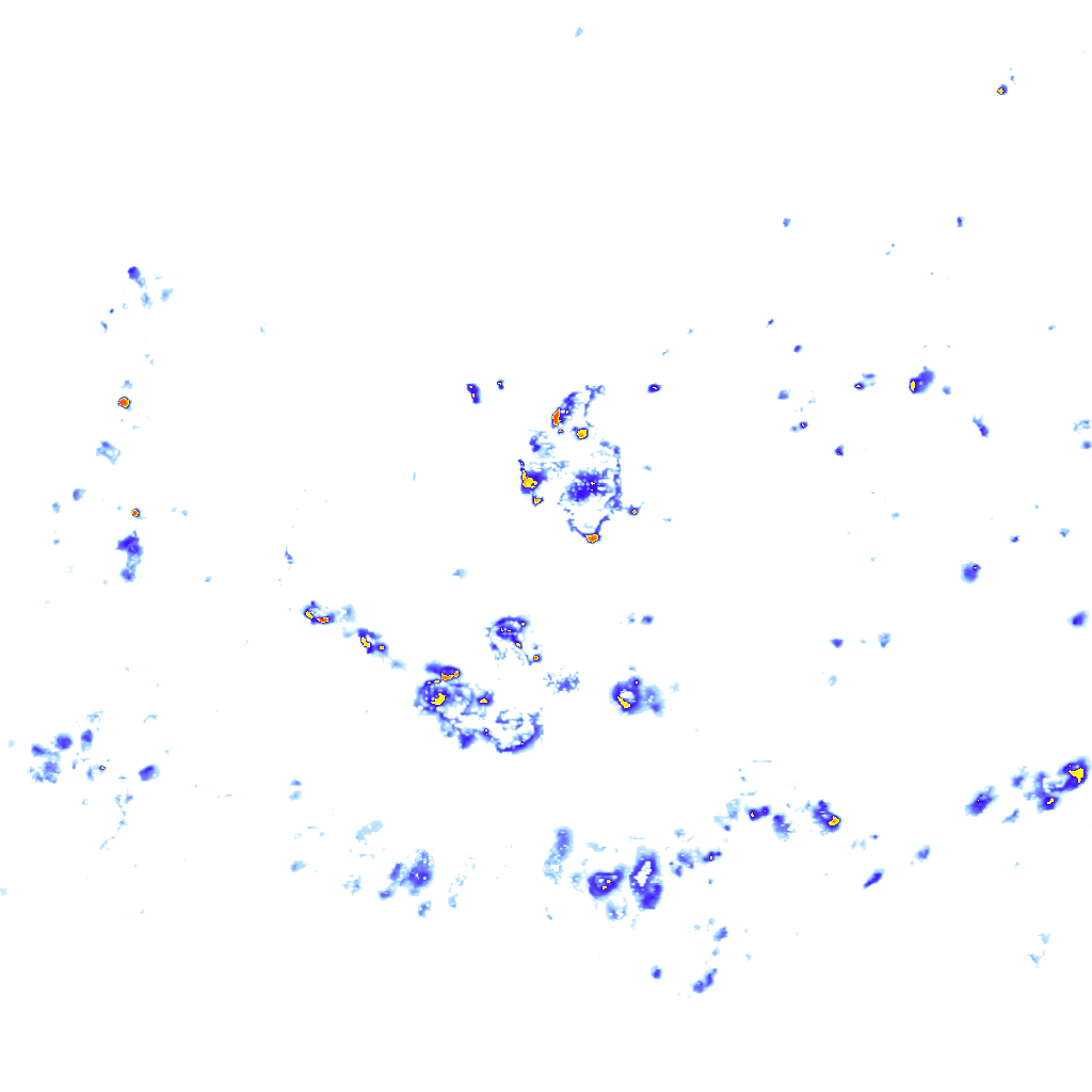 rainLayer
