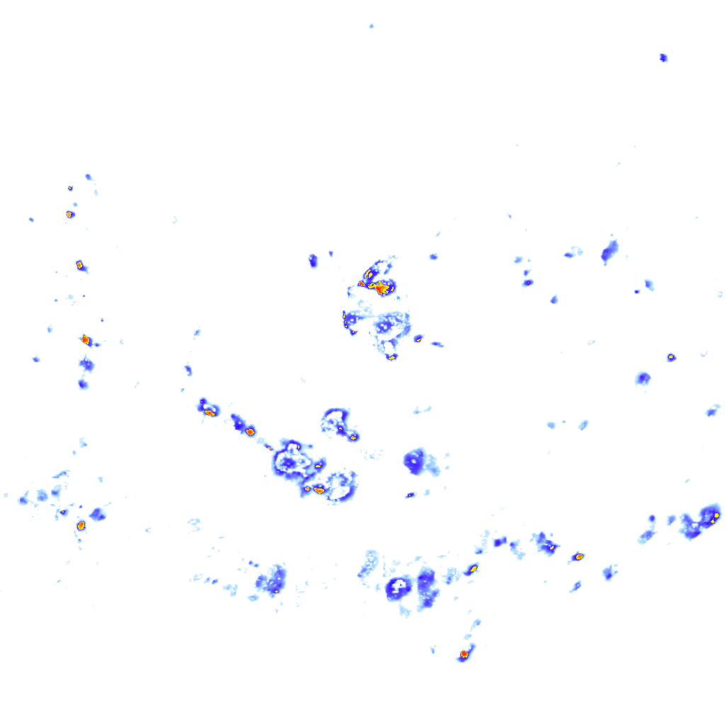 Image Layer