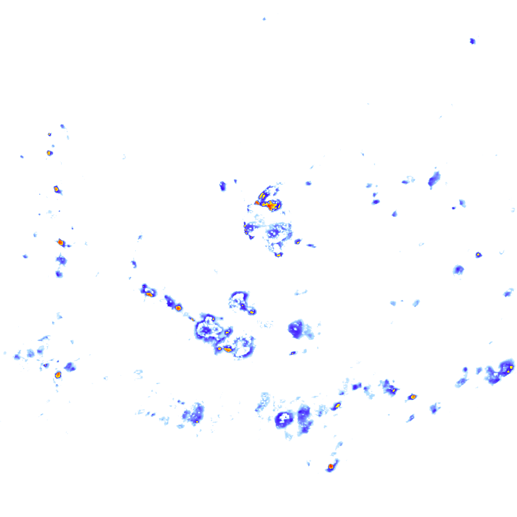 Image Layer