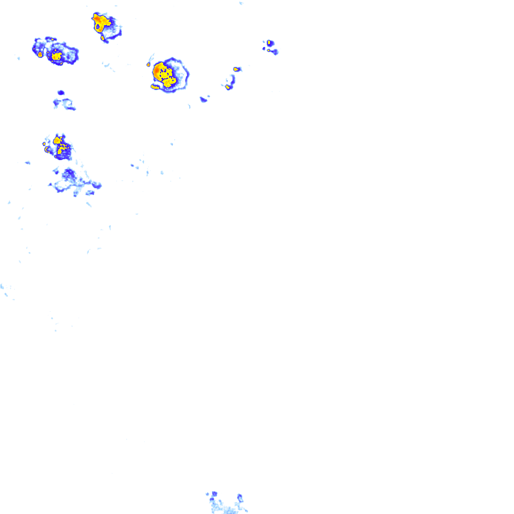 rainLayer