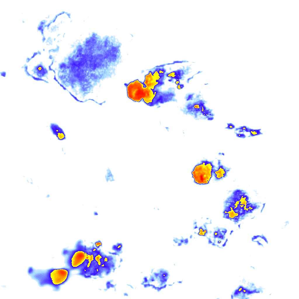 rainLayer