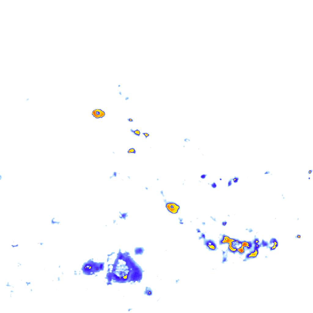 Image Layer