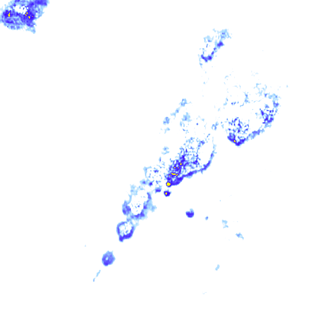 rainLayer