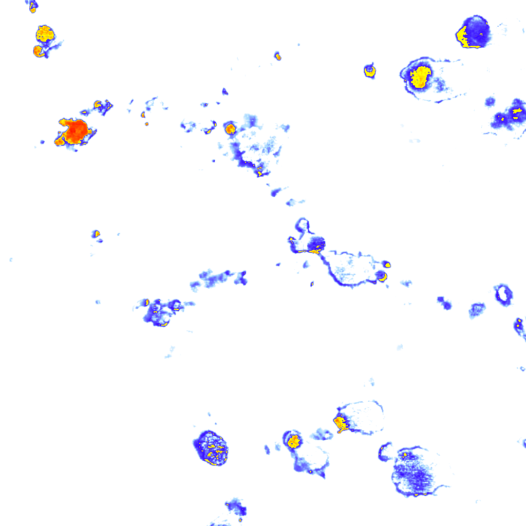 Image Layer
