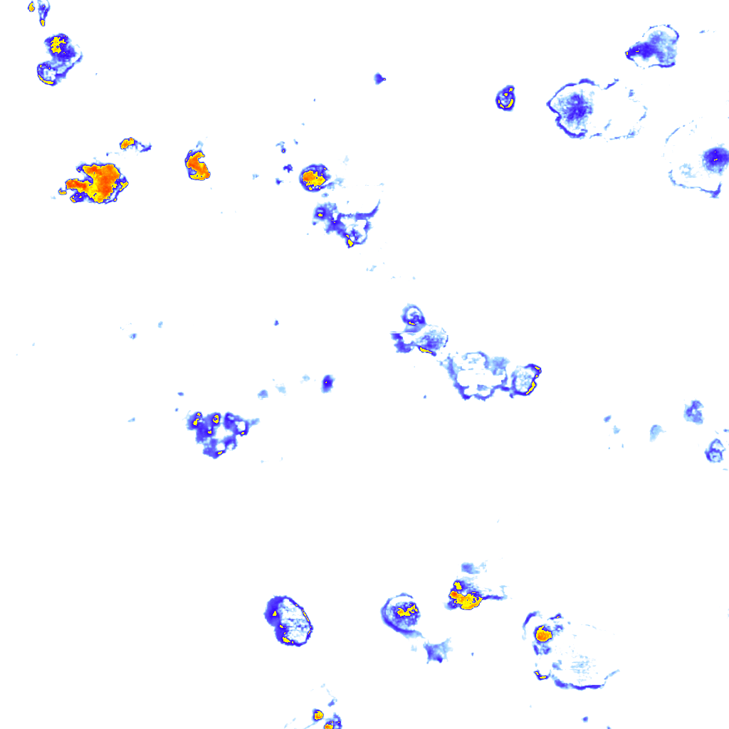 Image Layer