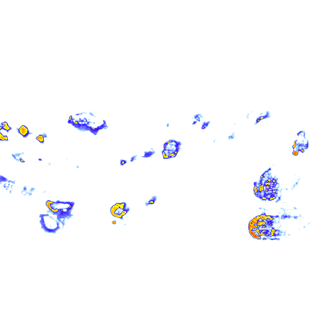 Image Layer