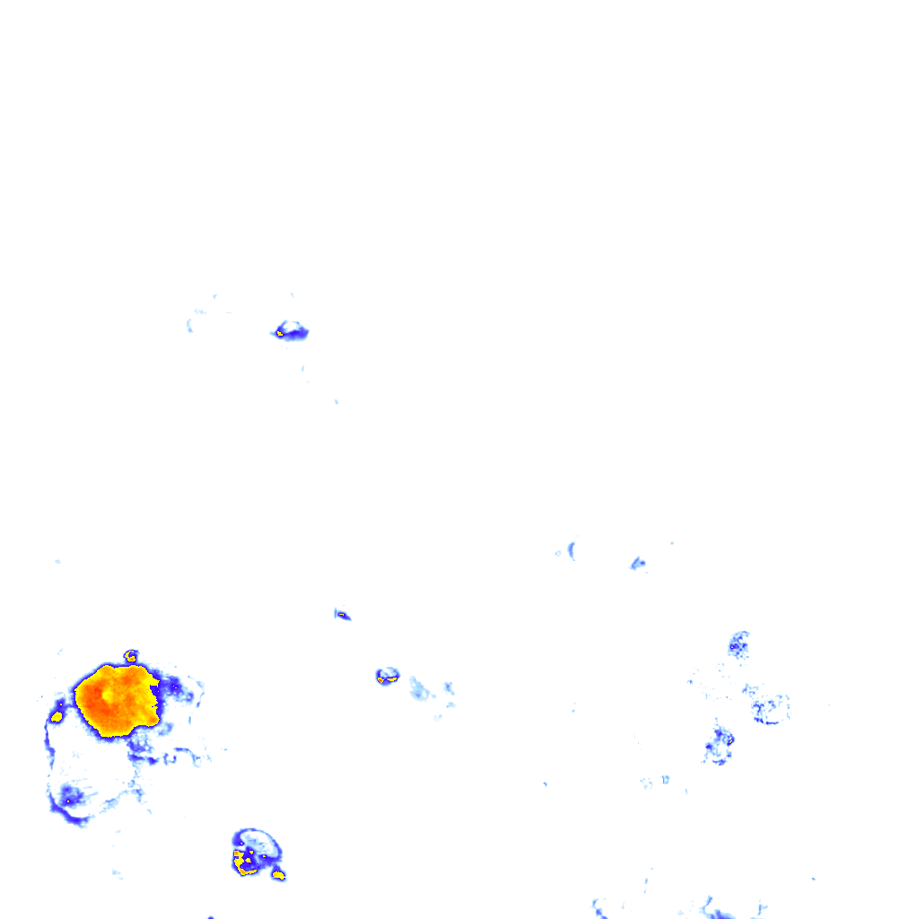 Image Layer