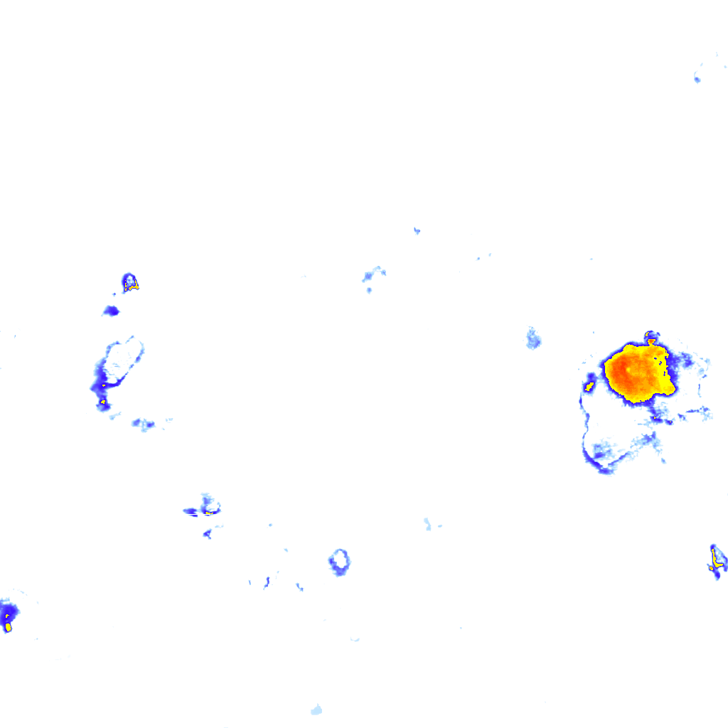 Image Layer