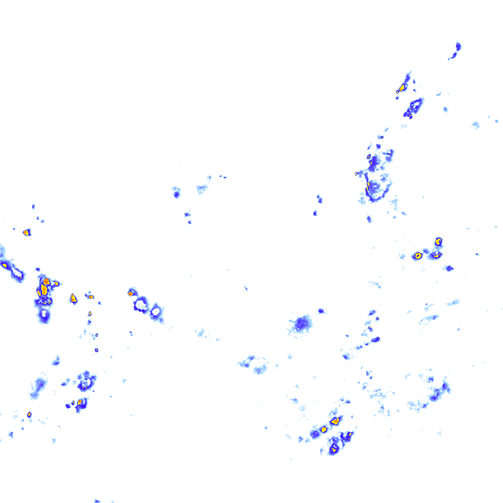 Image Layer