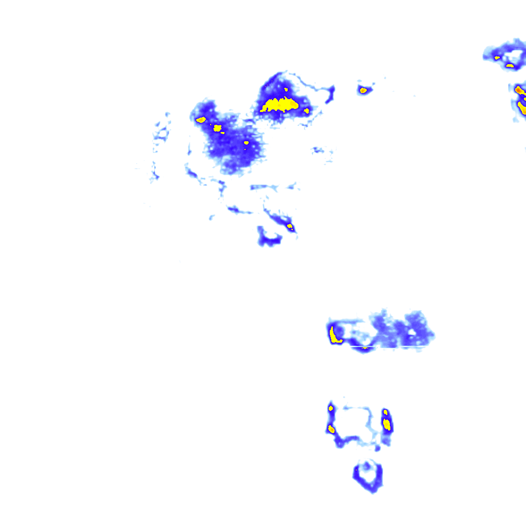 Image Layer