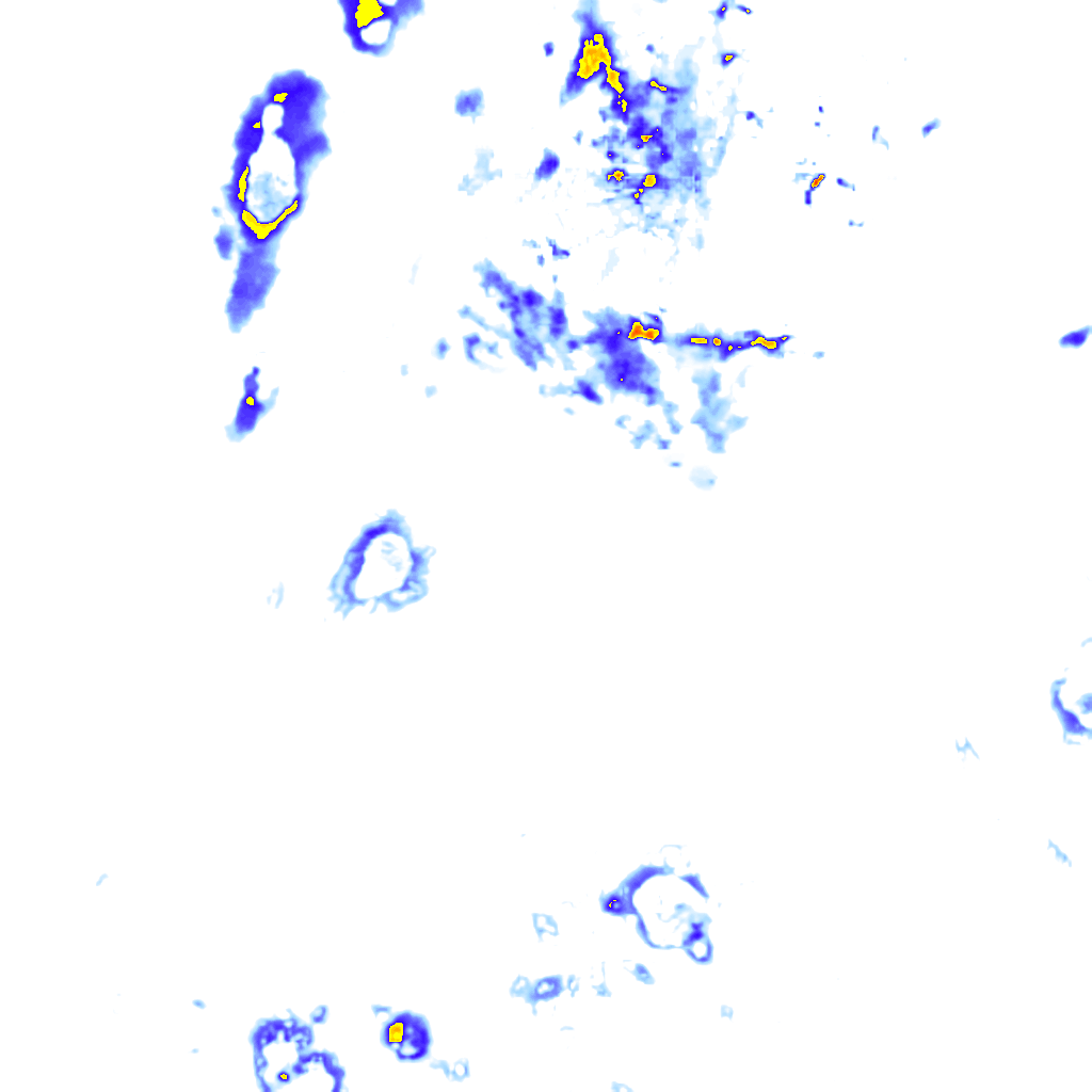 rainLayer