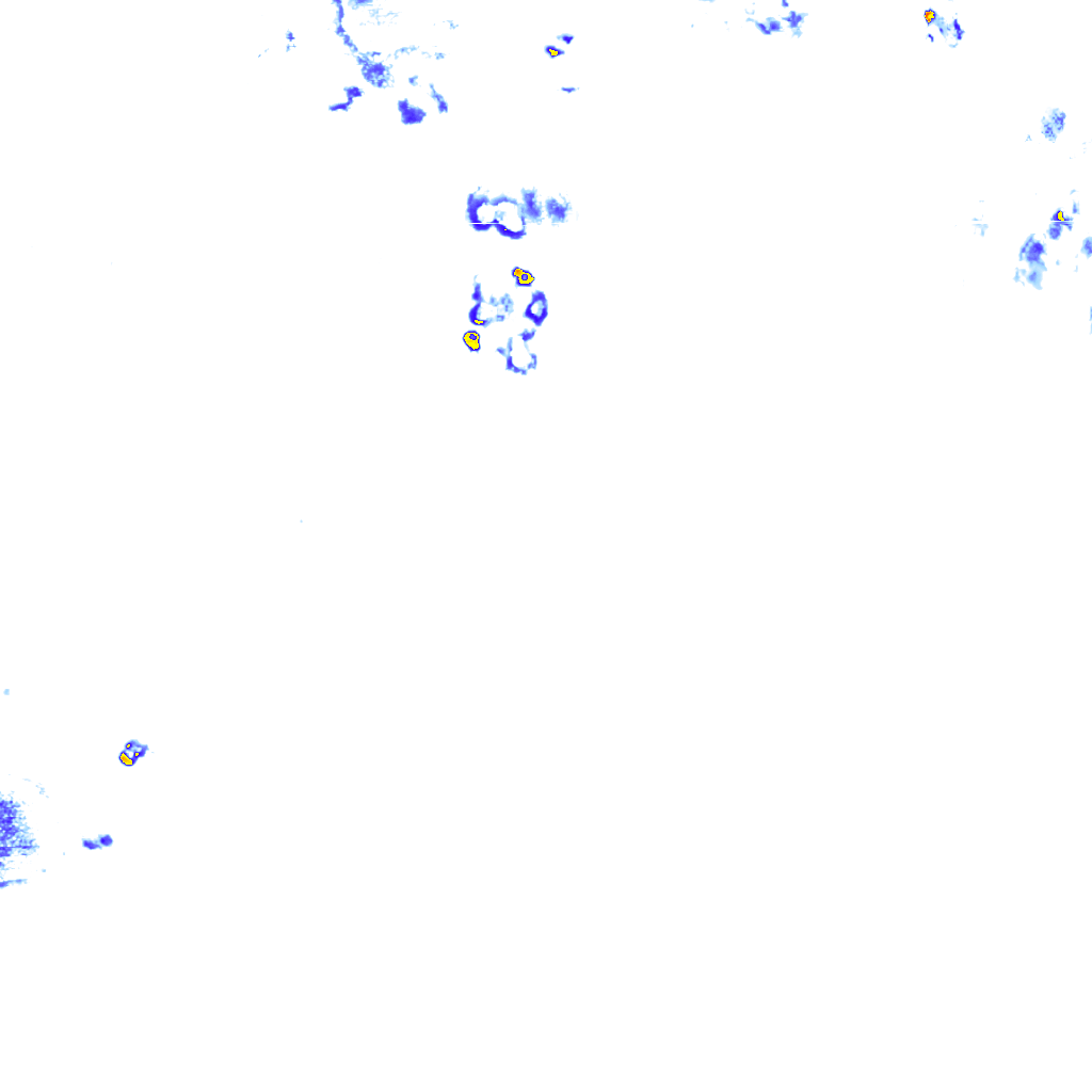 rainLayer