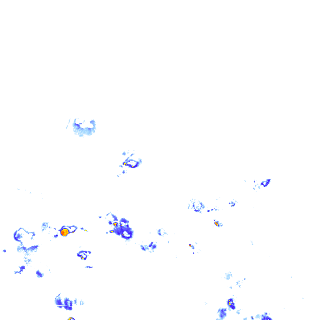 rainLayer