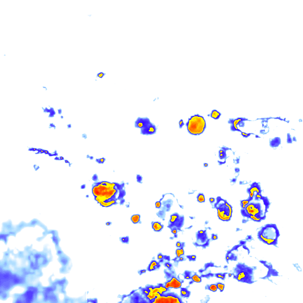 Image Layer