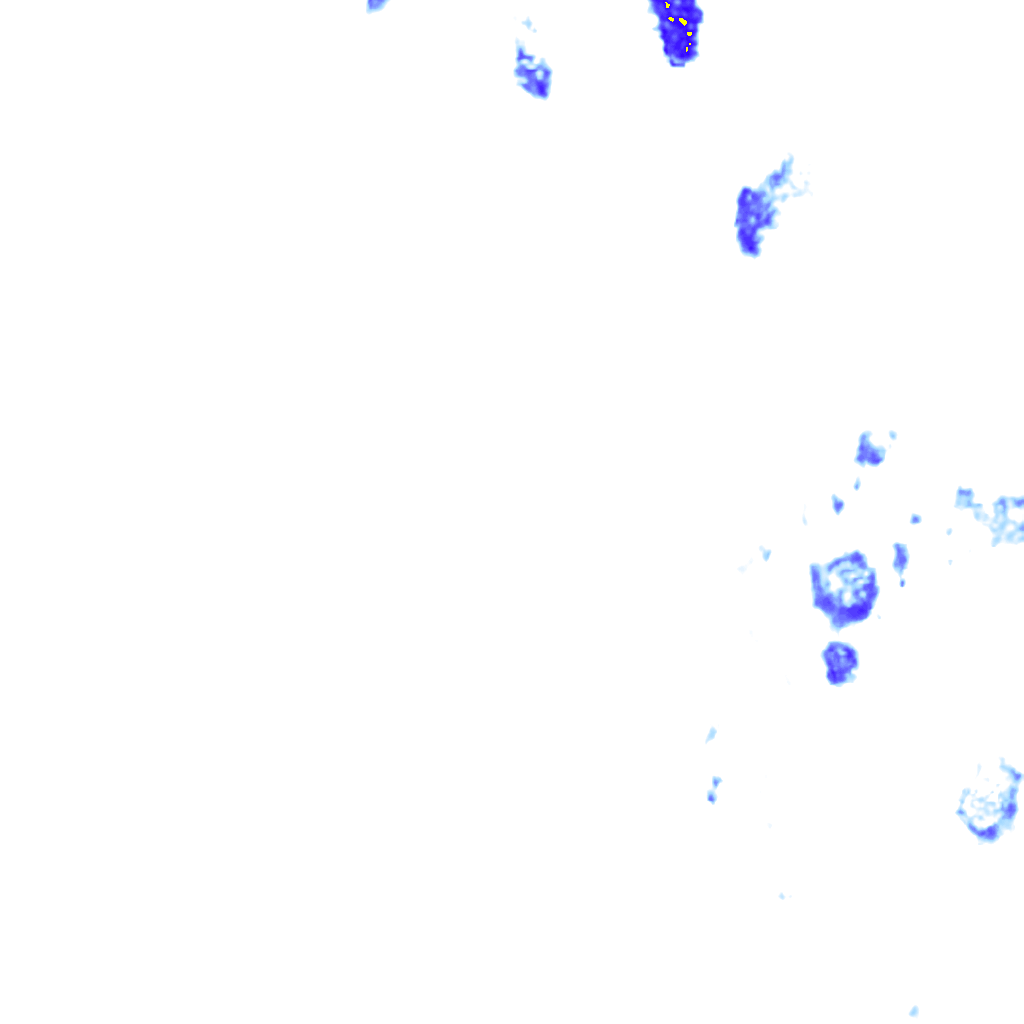 rainLayer
