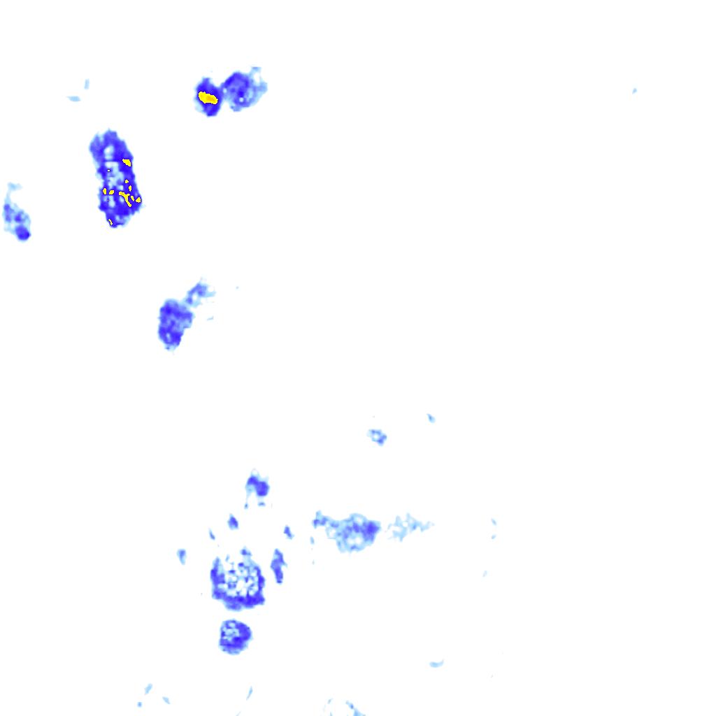 rainLayer
