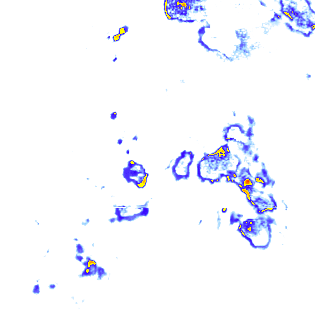 rainLayer