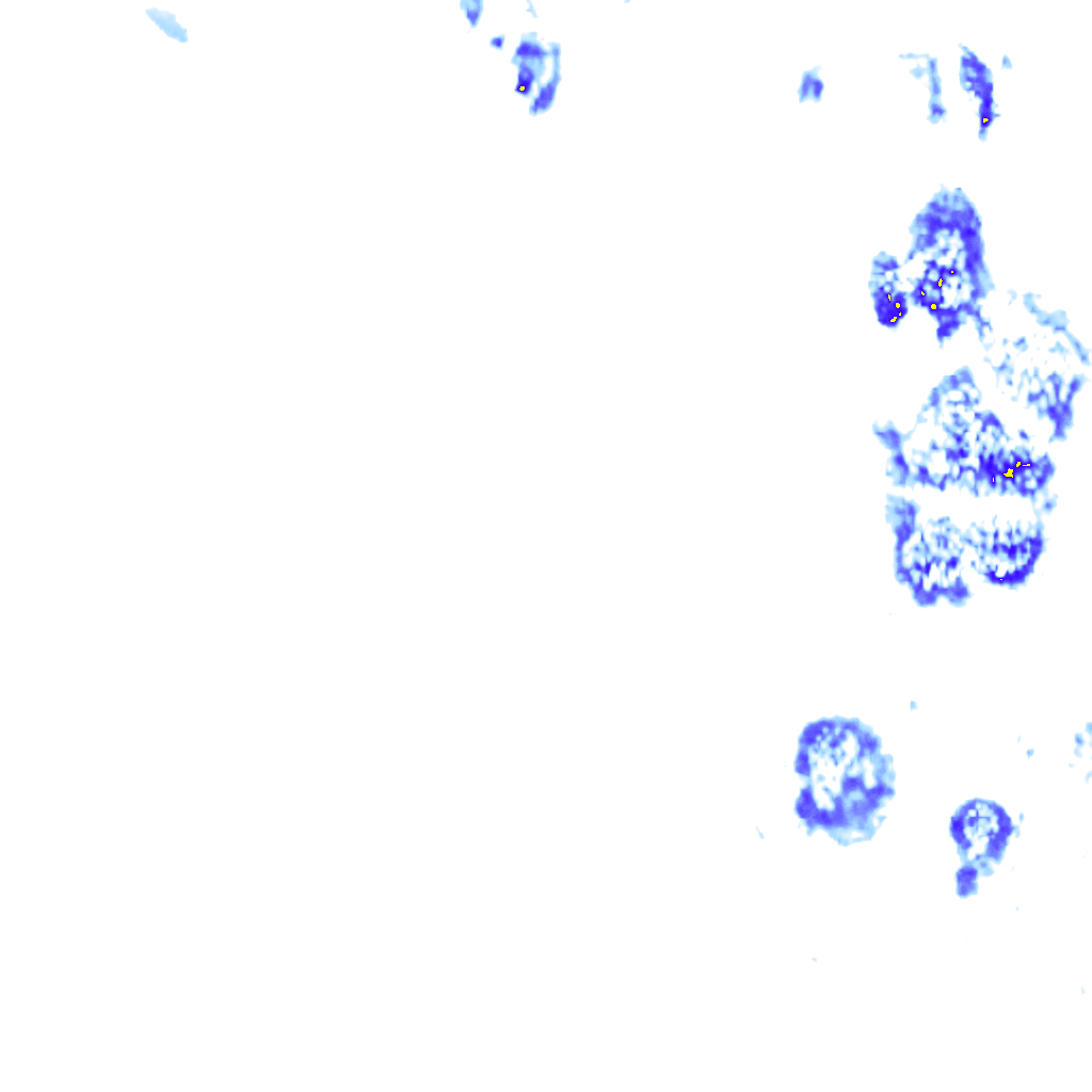rainLayer