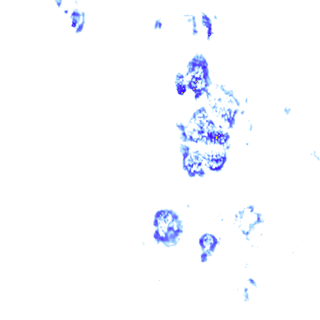 Image Layer