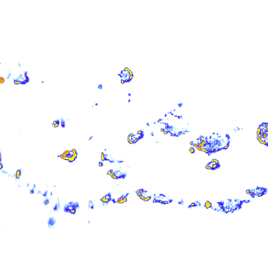 rainLayer